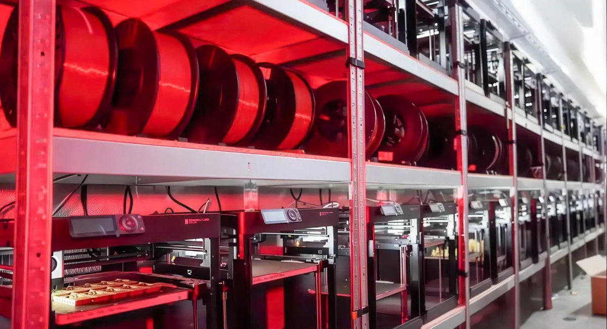 Photo credit: Wild Hornets