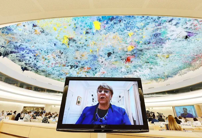 Human Rights Council special session on human rights situation in Ukraine, in Geneva, Defense Express