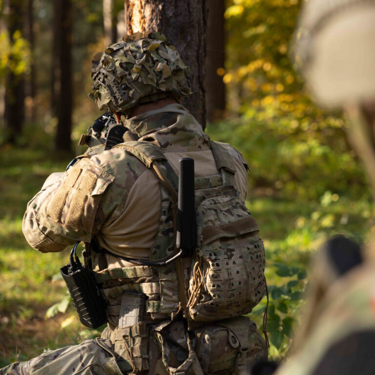 Wingman drone detector