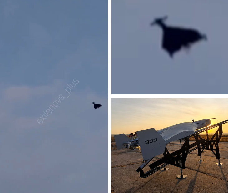 SSU Destroys Yet Another russian Tu-95MS—How Many Does russia Have Left?, Defense Express