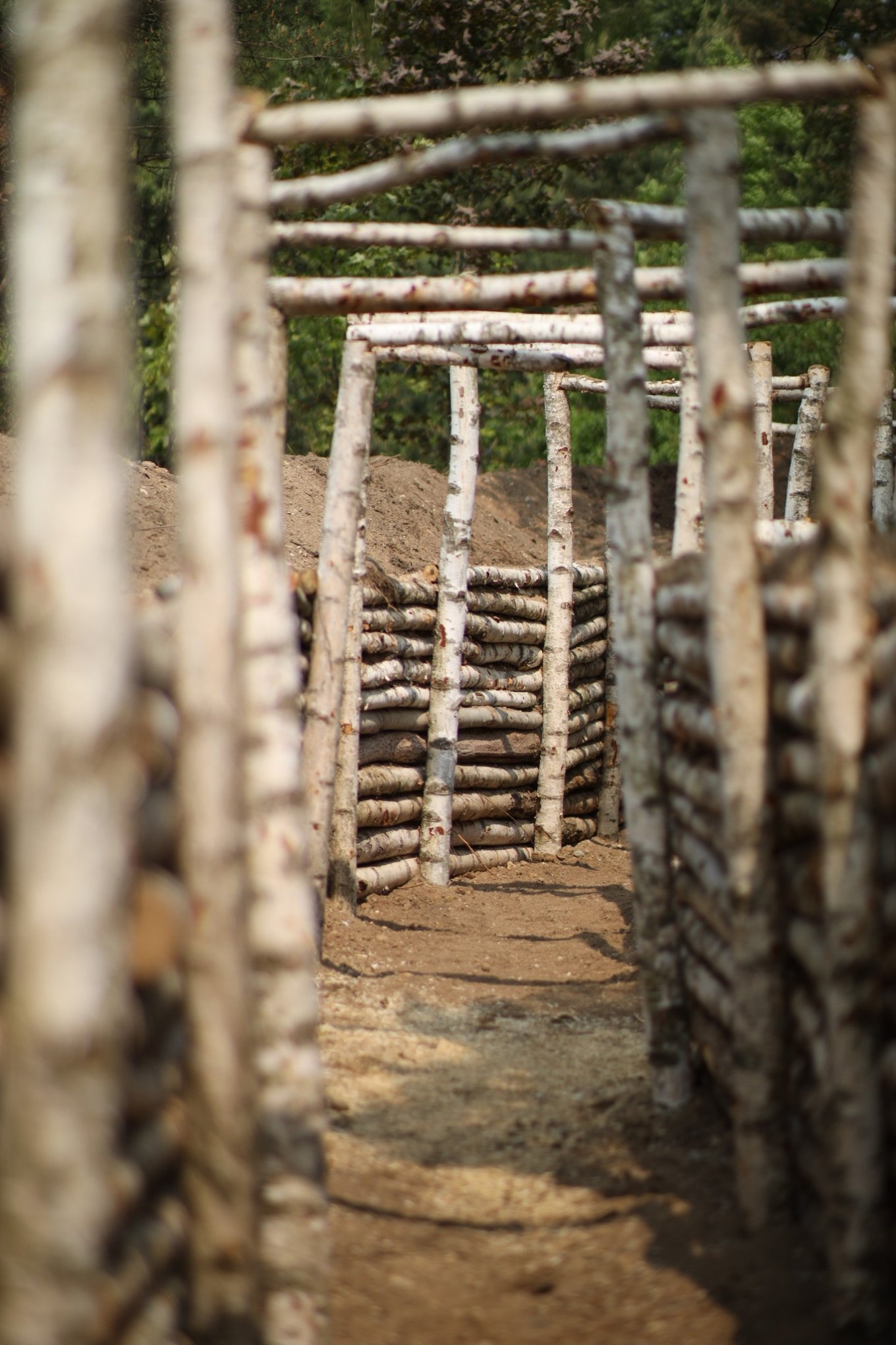 Infantry trenches equipped for deploying nets if necessary / Defense Express / Artillery Goes Underground, or How Polish Military Learns Fortification Building From Ukrainian War Experience