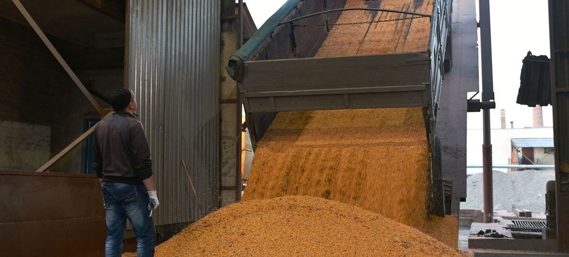A truck unloads corn grain at a processing factory in Ukraine, Defense Express