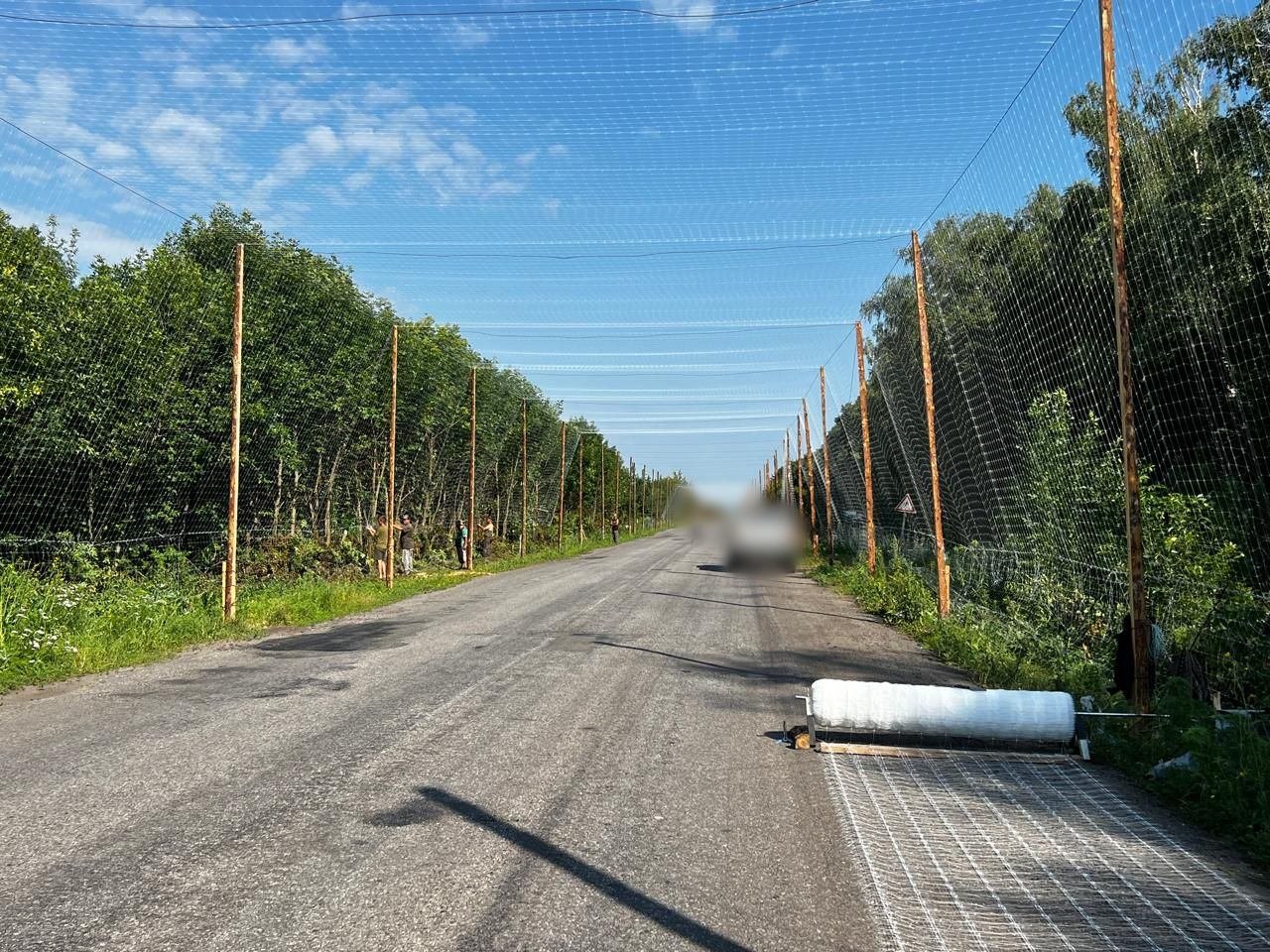 Illustrative photo of a mesh tunnel