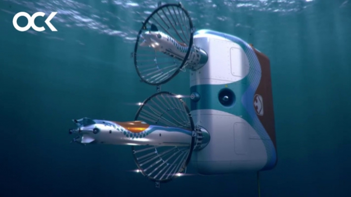 The Octavia station from the Argus drone ecosystem