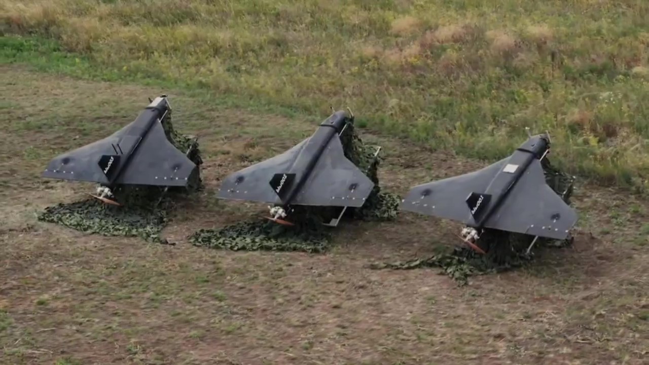 Multiple Gerbera aerial drones during demonstation tests / Defense Express / Lithuania Failed to Identify, Let Alone Take Down russian Stray Gerbera Drone