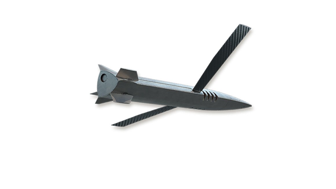 LRMP (Long Range Maneuvering Projectile)