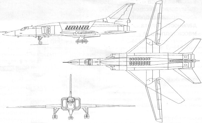 Putin Wanted to Turn the Tu-160 Strategic Bomber into an Airliner but His Plan Failed, Defense Express