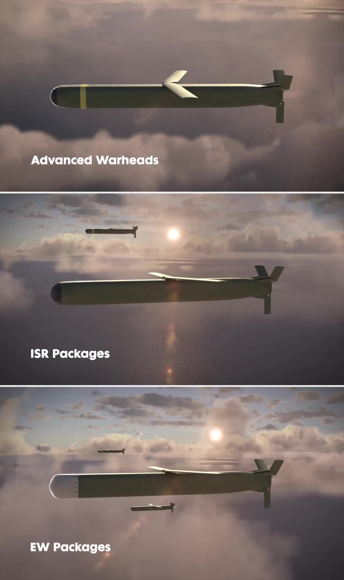 Jackal cruise missile in three payload configurations / Open source imagE