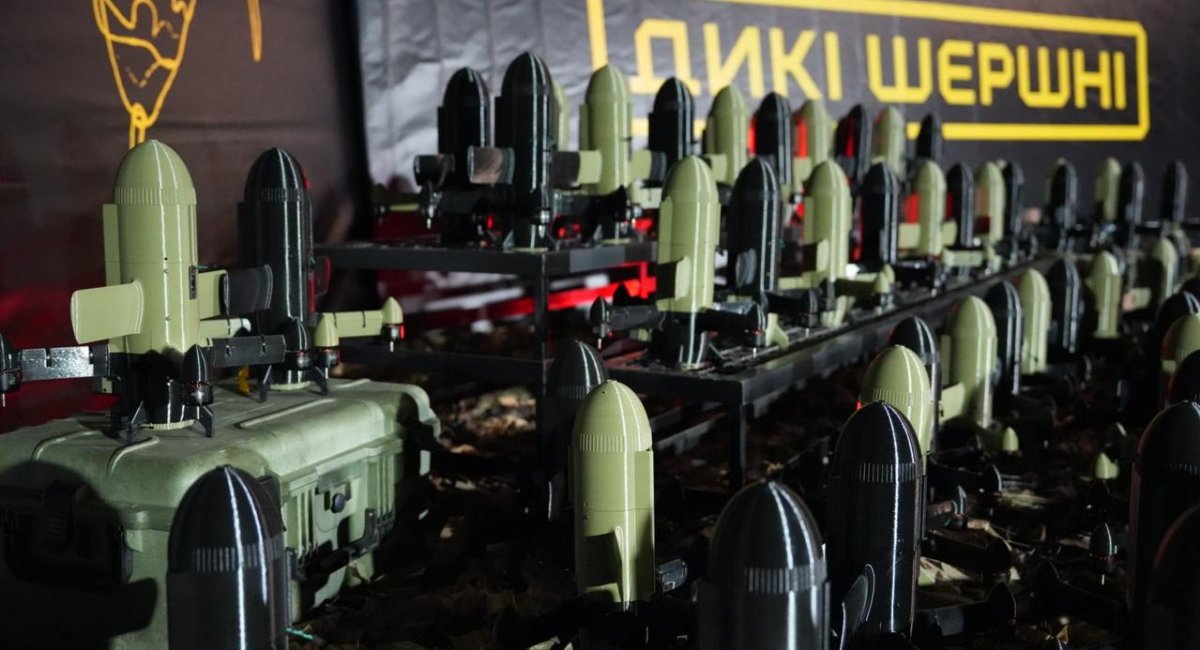 Ukrainian anti-air drones Sting