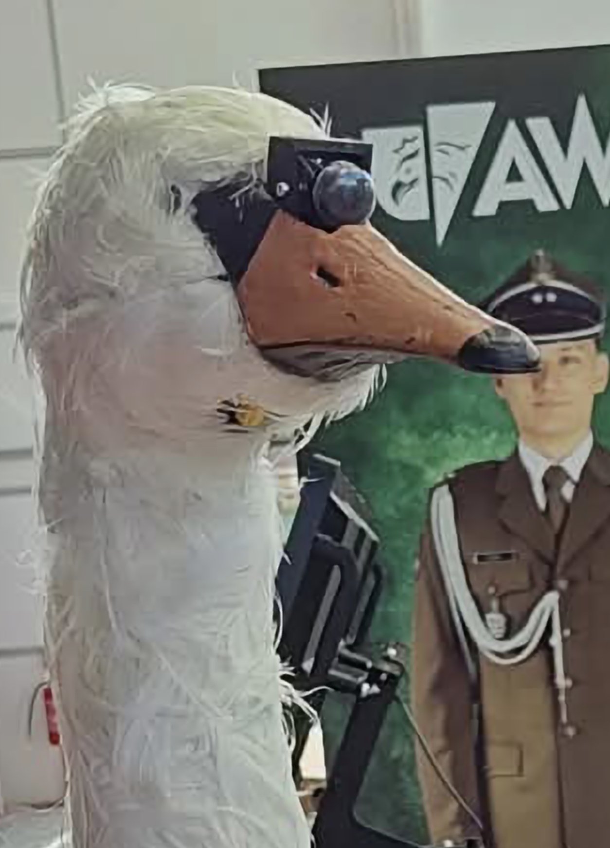 Swan decoy head with camera, Polish Battle Duck Drone Turns Out to be a Swan, Raising Questions
