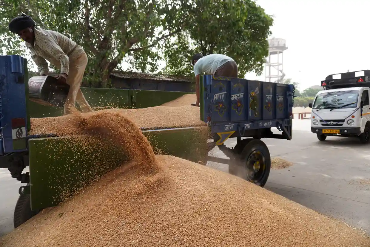 Workers unload wheat at a wholesale market near Delhi. India has banned the export of wheat amid continued inflationary pressure and food shortages. Photo credit: Mayank Makhija/NurPhoto/REX/Shutterstock, Defense Express