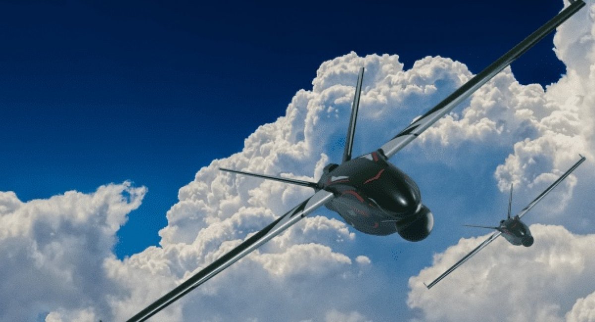 Polish UAV HAASTA / Open source image