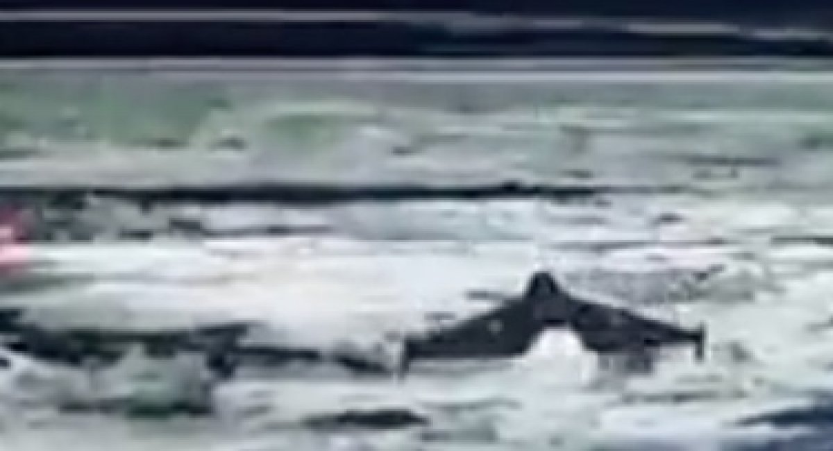 russian Shahed drone / screenshot from video 