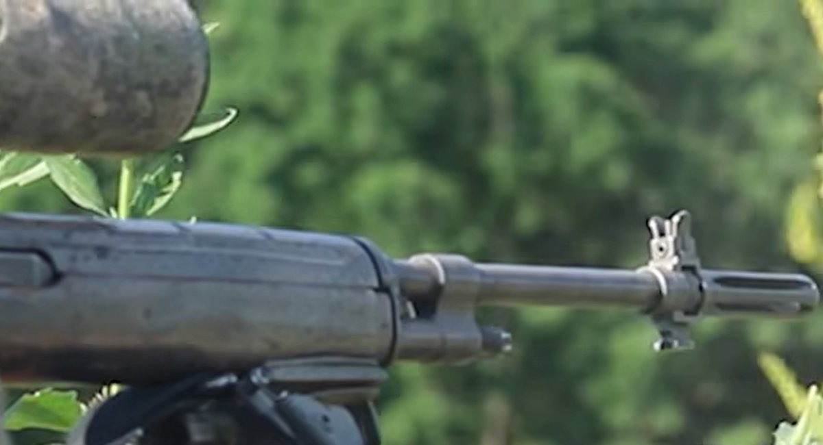 Colombian volunteer says: “I’m here to help all those who cannot protect themselves”