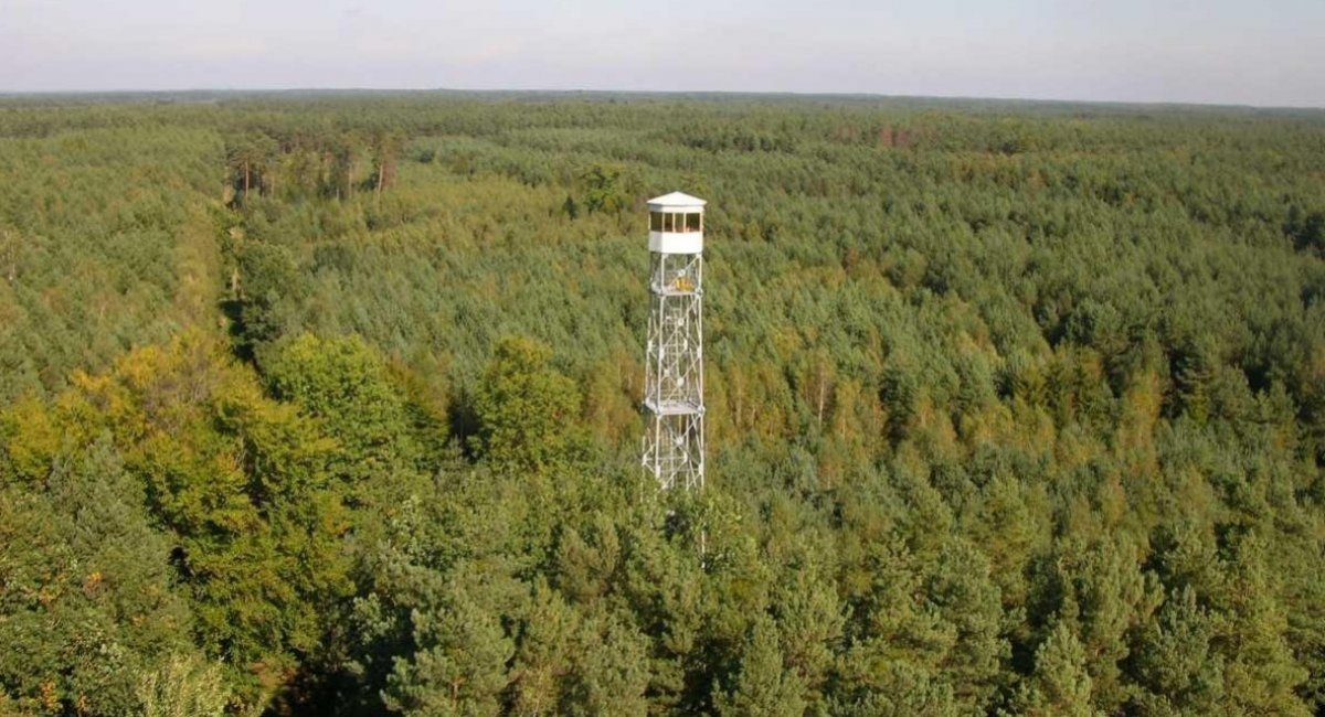 A fire tower in Poland / Photo credit: Lasy Państwowe