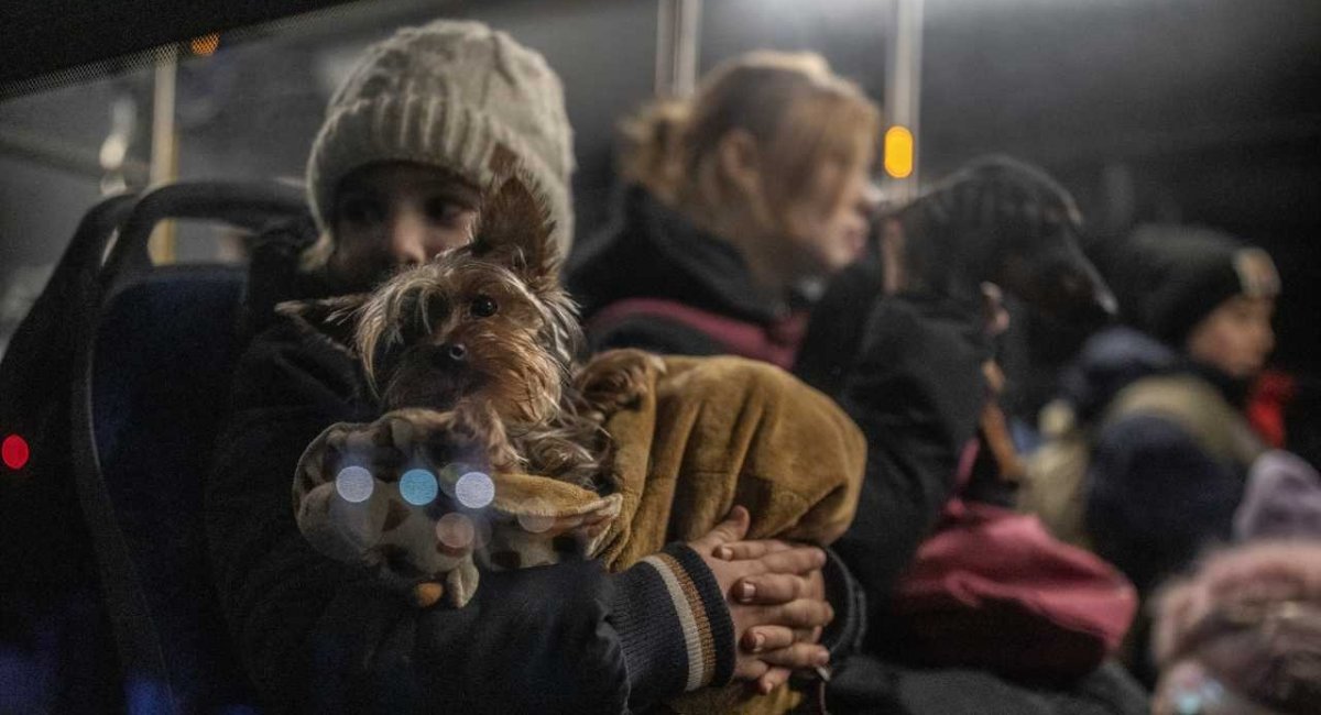 Yulianna holding her puppy, Max, as she and her family wait in a bus to be taken further into Poland to a refugee centre after crossing into Medyka, Poland on Saturday, March 5, 2022 / Photo credit: UNICEF