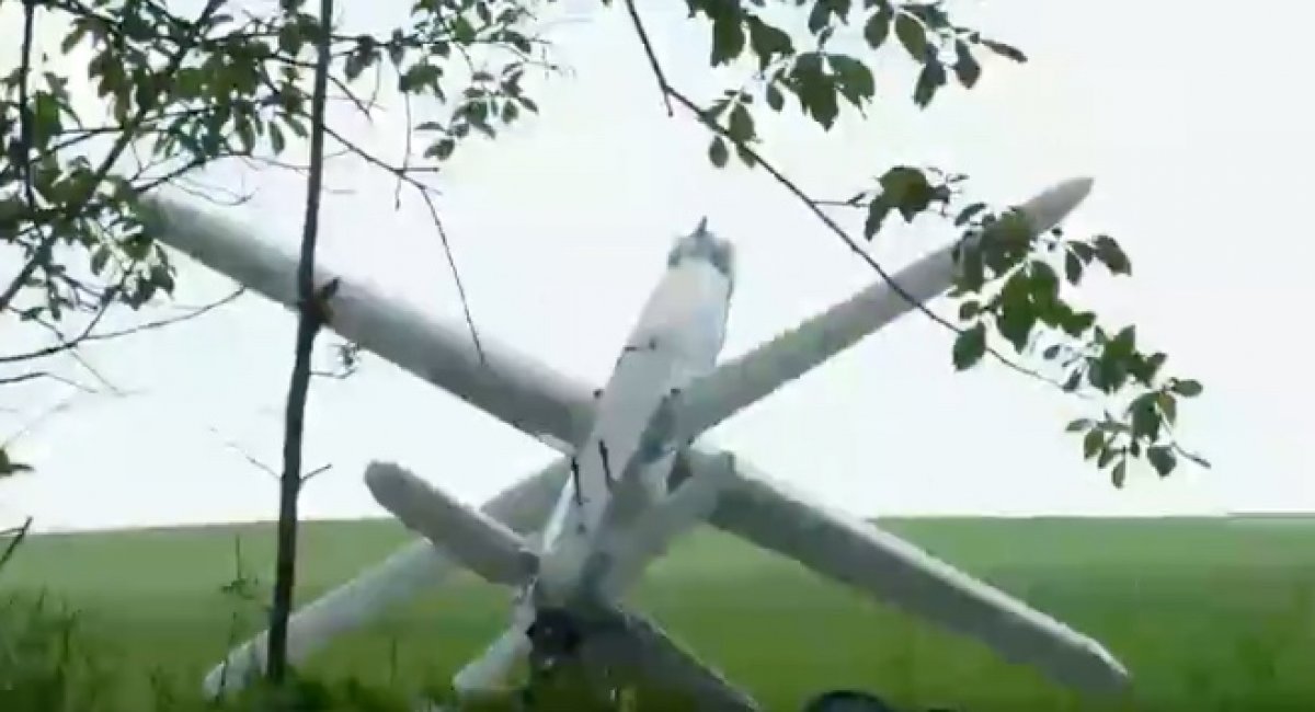 Ukrainian Bulava strike UAV / Screenshot from video 
