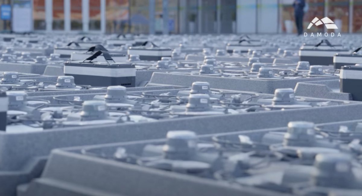 Screenshot from DAMODA video