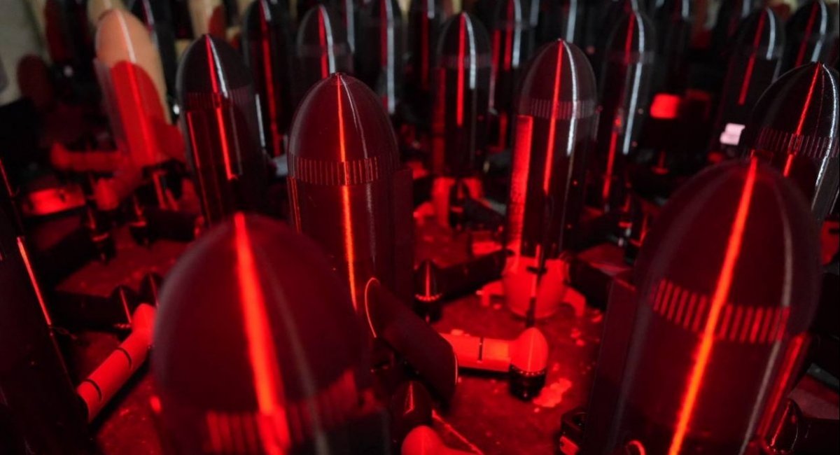 Sting anti-aircraft drones / Photo credit: Wild Hornets