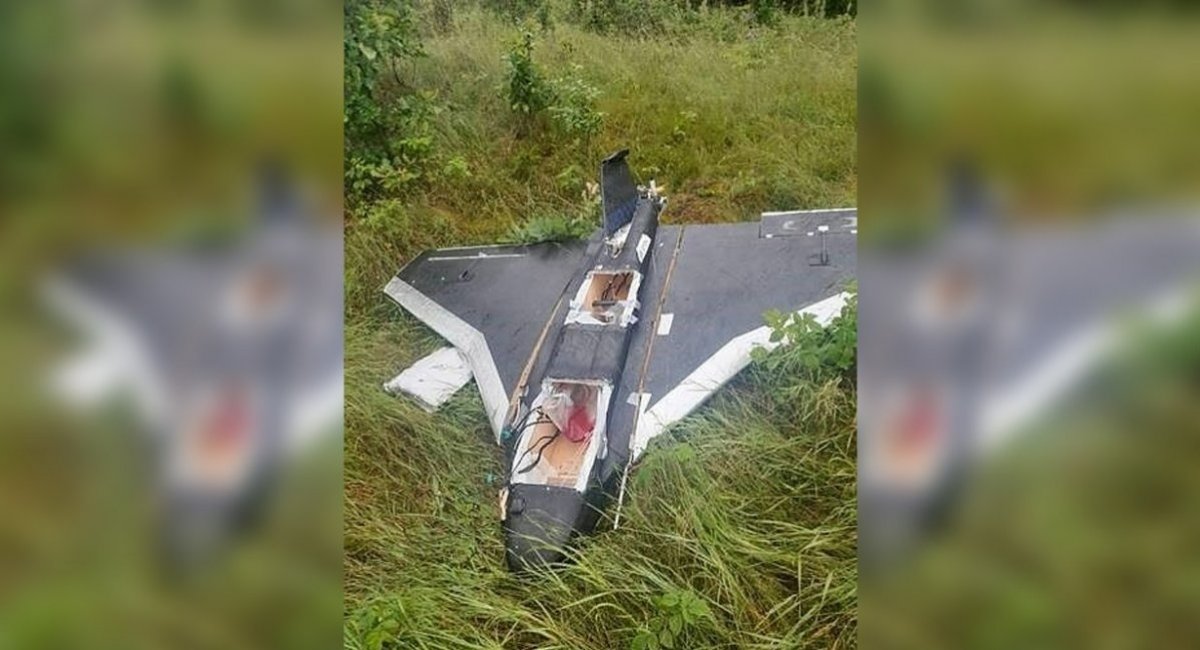 Lithuania Failed to Identify, Let Alone Take Down russian Stray Gerbera Drone
