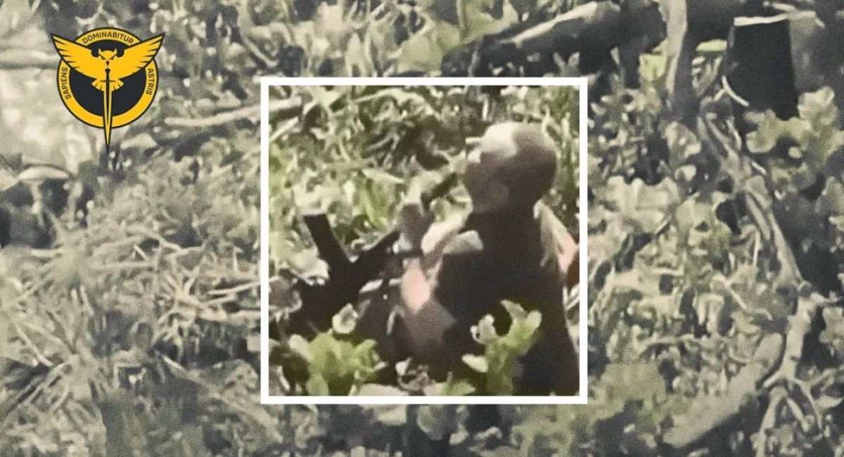 Illustrative image / screenshot from video 