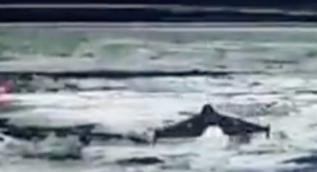 russian Shahed drone / screenshot from video