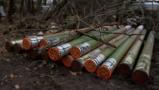 Serbia Allegedly Supplied Ammo to Ukraine, russia Threatens With Retaliation
