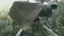 ​Ukrainian Drones Hunt Down russian Kozerog-1 System Launching 122 mm Grad Rockets (Video)