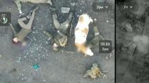​FPV Drone, Double Agent, and Precision Strikes: How Ukraine Hit Chechen Akhmat Unit