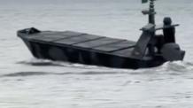 ​Ukrainian Barracuda USVs Launch FPV Drones to Destroy russian Landing Party in Kherson Region (Video)
