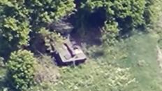 ​Ukraine's Air Assault Forces Hunt Down Hidden russian 2S1 Gvozdika SPG 