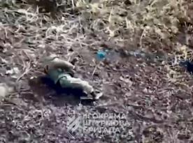 ​How russian Invaders Attempt to Counter Ukrainian Kamikaze Drones in Kharkiv Region: Rifles, Legs and Bare Hands 