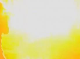 ​russian Drone Ambush Plan Collapses as Ukraine Detects Hidden Threats Early (Video)