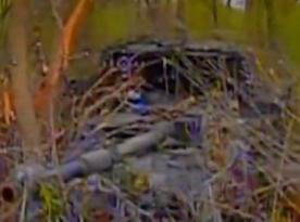 ​No Escape: Ukrainian FPV Drones Hunt Down Concealed russian Tank