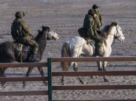 ​Where Do Donkeys and Horses Come From in russia’s Army and Does This Indicate a Shortage of Transport and Armored Vehicles