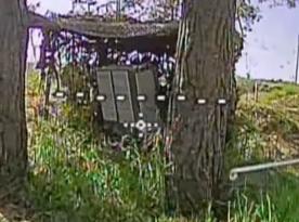 ​Ukraine's Khymera Unit Hunts russian Forces in Bryansk Region to Protect Chernihiv (Video)