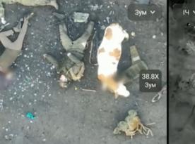 ​FPV Drone, Double Agent, and Precision Strikes: How Ukraine Hit Chechen Akhmat Unit