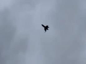 ​Ukraine Launches Production of Bullet Anti-aircraft Drone, Accelerating to 309 km/h