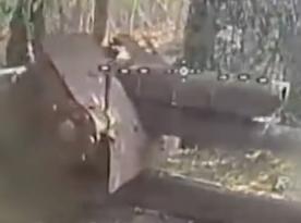Ukraine's Steel Border Brigade Destroys russian Artillery, Mortar, and Armored Vehicle (Video)