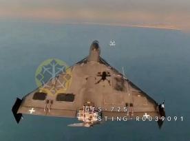 Ukrainian Wild Hornets Demonstrate 2,000 km Remote Drone Control with Hornet Vision Ctrl