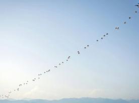 UK Defense Intelligence: UK Adds 500 Personnel in Cyprus, Supports NATO Iraq Relocation, Expands CENTCOM Planning, Provides A400M Aircraft