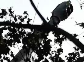 ​Ukrainian Paratroopers Capture and Reuse russian 2S19 Msta-S Howitzer
