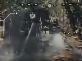 Ukraine's Revanche FPV Drones Destroy russian D-30 Howitzer, UGVs, and UAVs (Video)