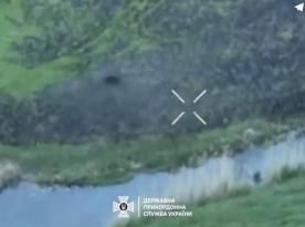 Ukrainian Border Guards Showcase Containment of Enemy Near Vovchansk, Kharkiv Oblast (Video)