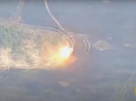 ​The Security Service of Ukraine Destroyed the BM-21 Grad and the Tor-M2 Systems With the RAM II UAVs (video)