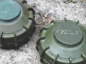 Poland Plans to Deploy Mines Along Borders with russia and belarus