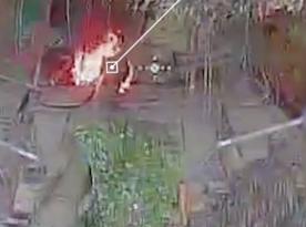 ​russian T-72 Tank Tried to Hide Under Trees, but Ukrainian ARES Drones Found and Destroyed It (Video)
