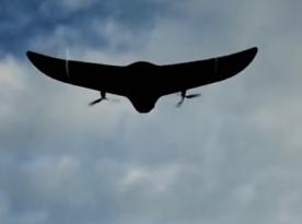 ​Ukrainian Forces Hit russia's UAV Arsenal: Zala, Orlan, Lancet, and Rare Kniaz Veshchyi Oleh Drones (Video)