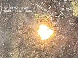 Ukrainian Fighters Crush russian Infantry Attempting to Cross a Field in the Pokrovske Direction (Video)