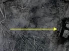 ​Forest Camouflage Fails as Ukrainian UAVs Destroy russian Grad System (Video)